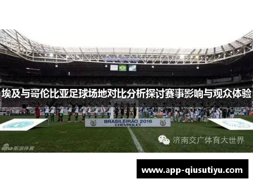 埃及与哥伦比亚足球场地对比分析探讨赛事影响与观众体验