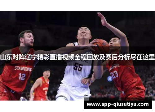 山东对阵辽宁精彩直播视频全程回放及赛后分析尽在这里